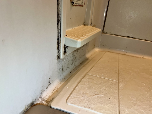 八街市にお住まいでユニットバスの床にカビが発生して困っている方へ。カビが発生する原因4選・放置するリスク・自分でできる掃除方法・防水施工